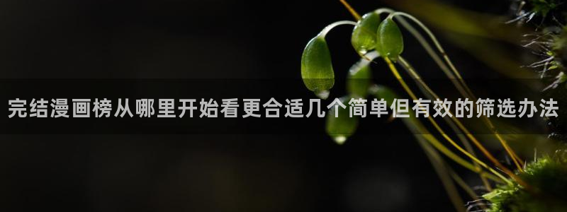 樱花日语初级语法