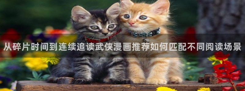 樱花日语在线网课